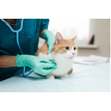 telefone de clínica médica veterinária para gatos Ponta Dareia