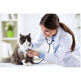 telefone de clínica veterinária especialista em felinos Barroco