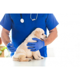 vacina antirrábica canina valor Santana
