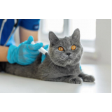vacina contra raiva para gato preço Parque Tamandaré