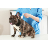 vacina de gripe para cachorro valor Nova Esperança