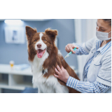 vacina de raiva para cachorro valor Colinas