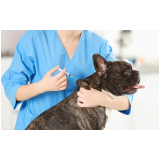 vacina para carrapato em cachorro valor Aracatiba