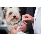 vacina para filhote de cachorro São José Imbassai