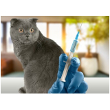 vacina para gato preço Engenho do Mato