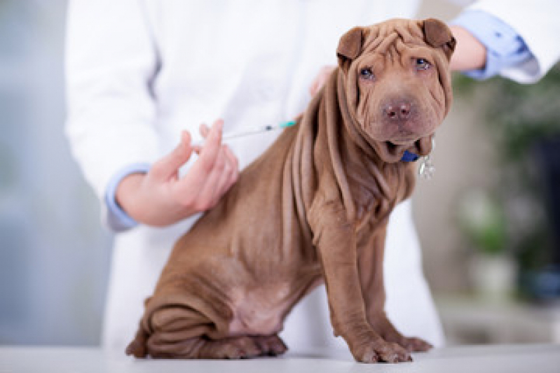 Vacina para Cachorro Parque Jóquei Club - Vacina de Gripe para Cachorro