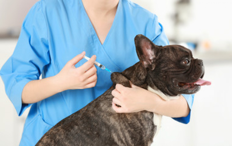 Vacina para Carrapato em Cachorro Valor Lagoa - Vacina Antirrábica Cachorro