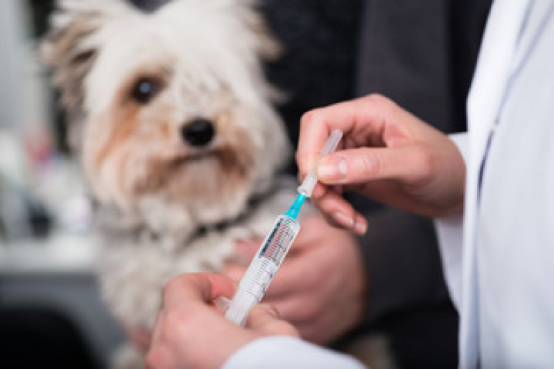 Vacina para Filhote de Cachorro Icaraí - Vacina de Gripe para Cachorro
